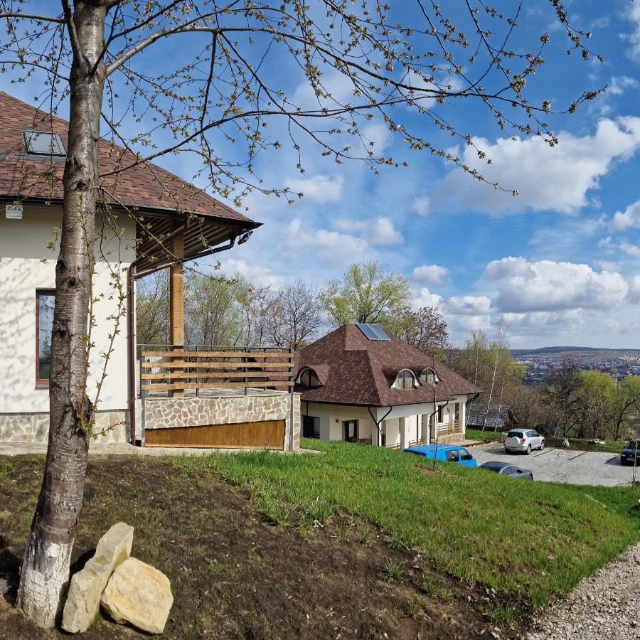 Provence Suceava Hotel Ngoại thất bức ảnh