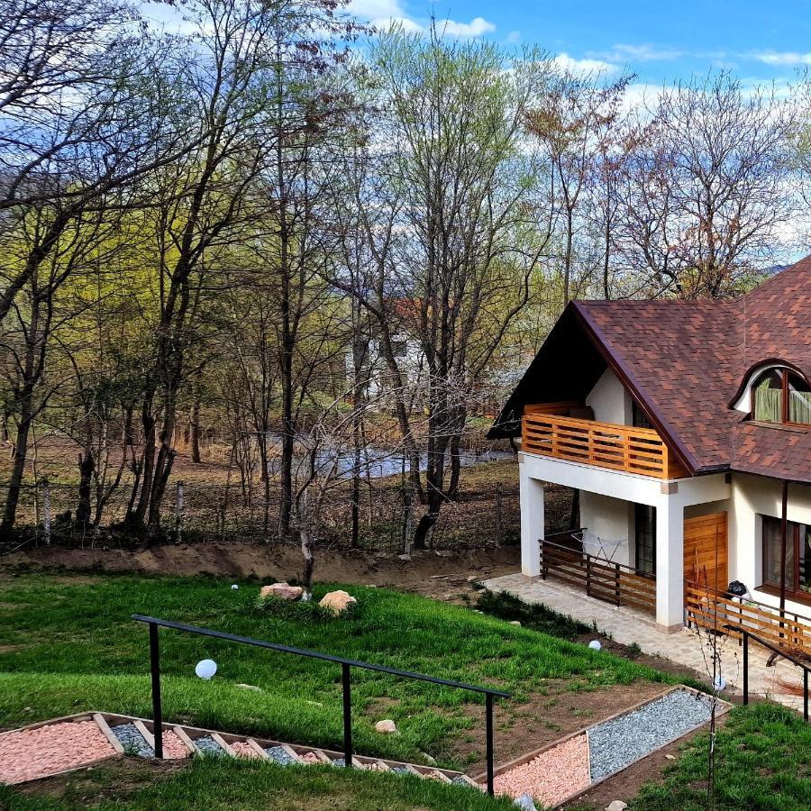 Provence Suceava Hotel Ngoại thất bức ảnh