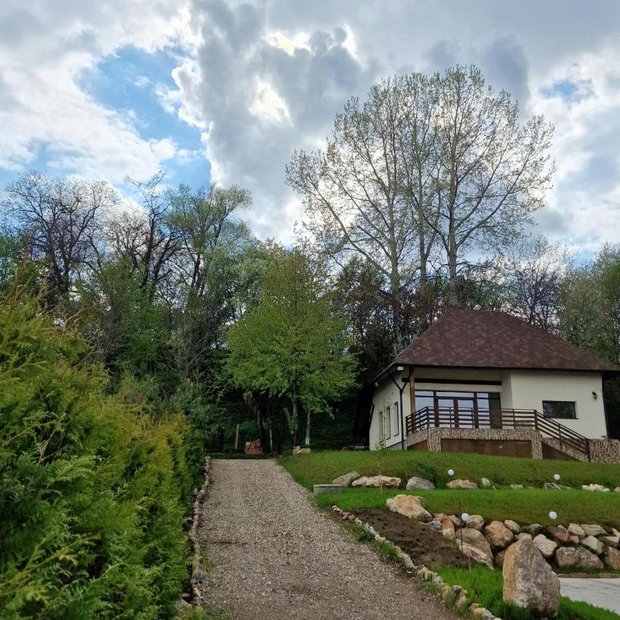 Provence Suceava Hotel Ngoại thất bức ảnh