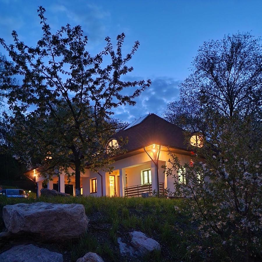 Provence Suceava Hotel Ngoại thất bức ảnh