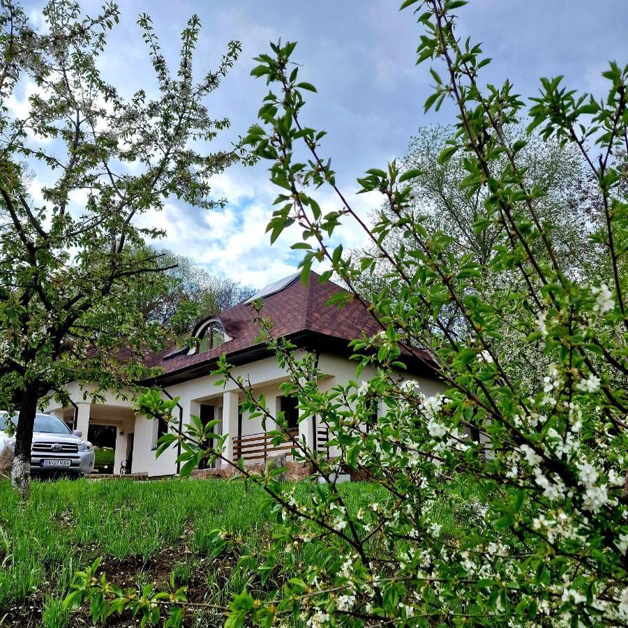 Provence Suceava Hotel Ngoại thất bức ảnh