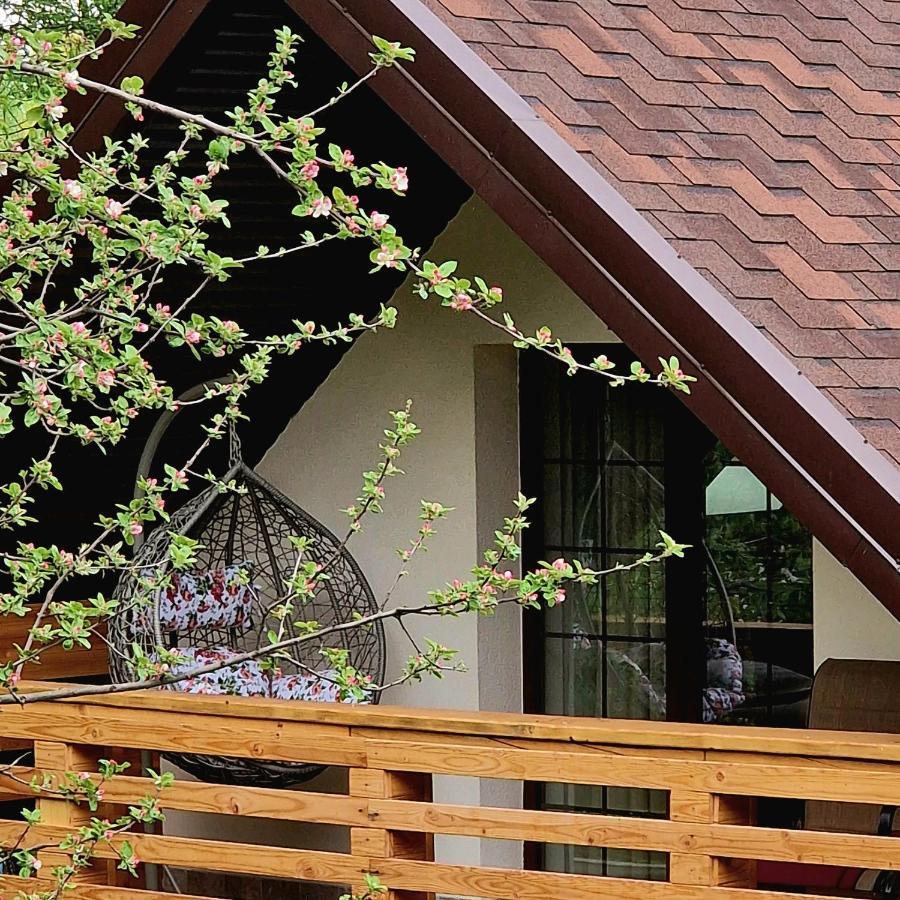 Provence Suceava Hotel Ngoại thất bức ảnh