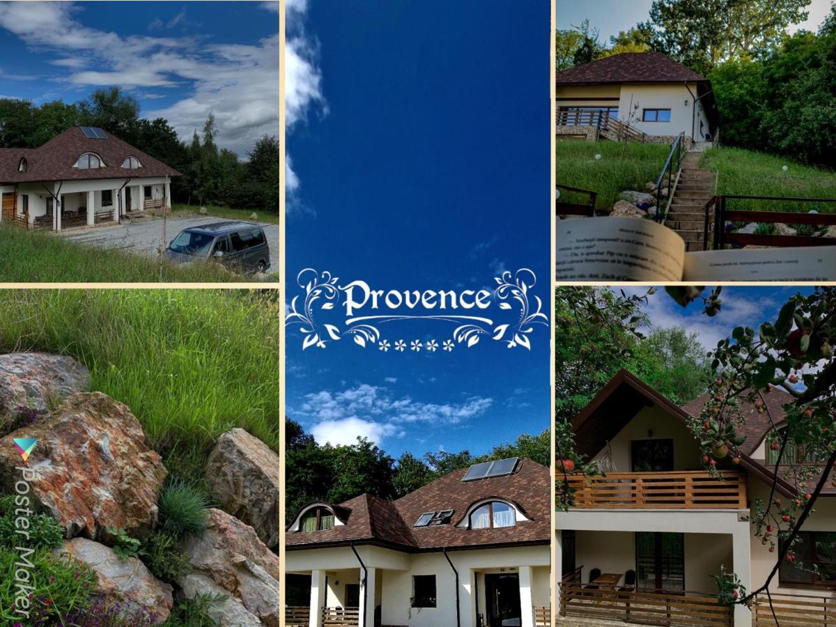 Provence Suceava Hotel Ngoại thất bức ảnh