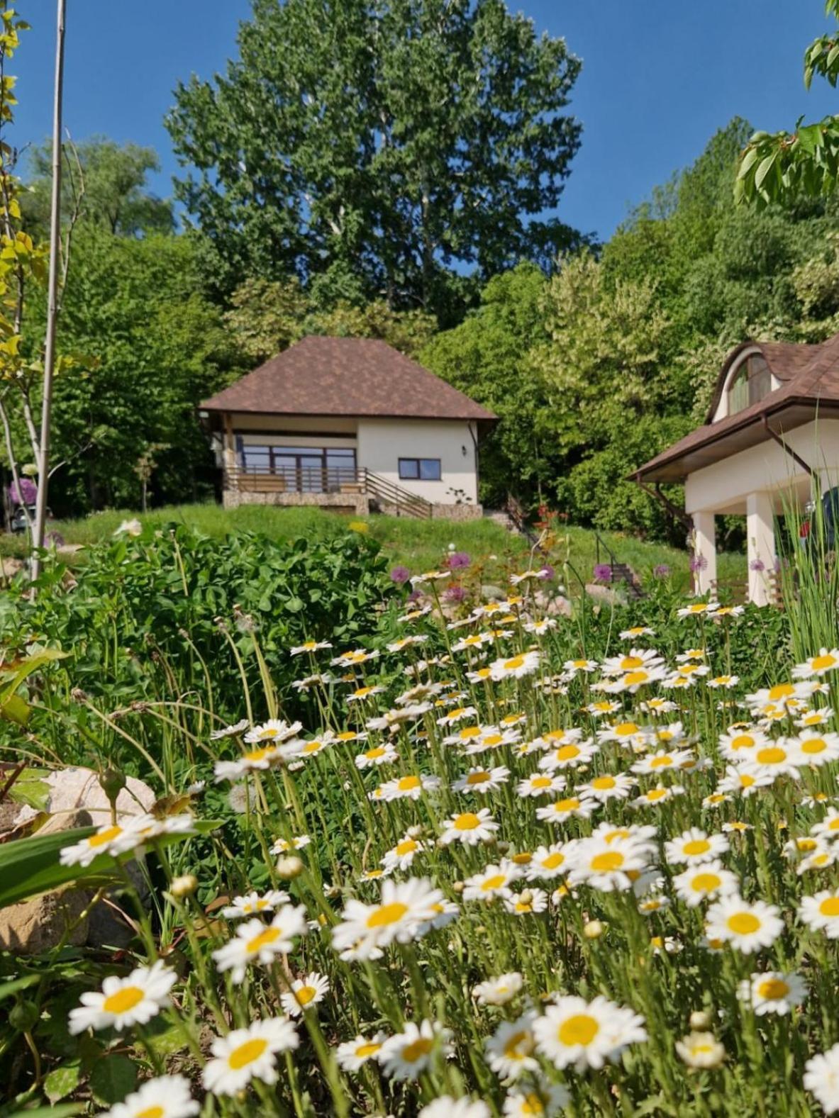 Provence Suceava Hotel Ngoại thất bức ảnh