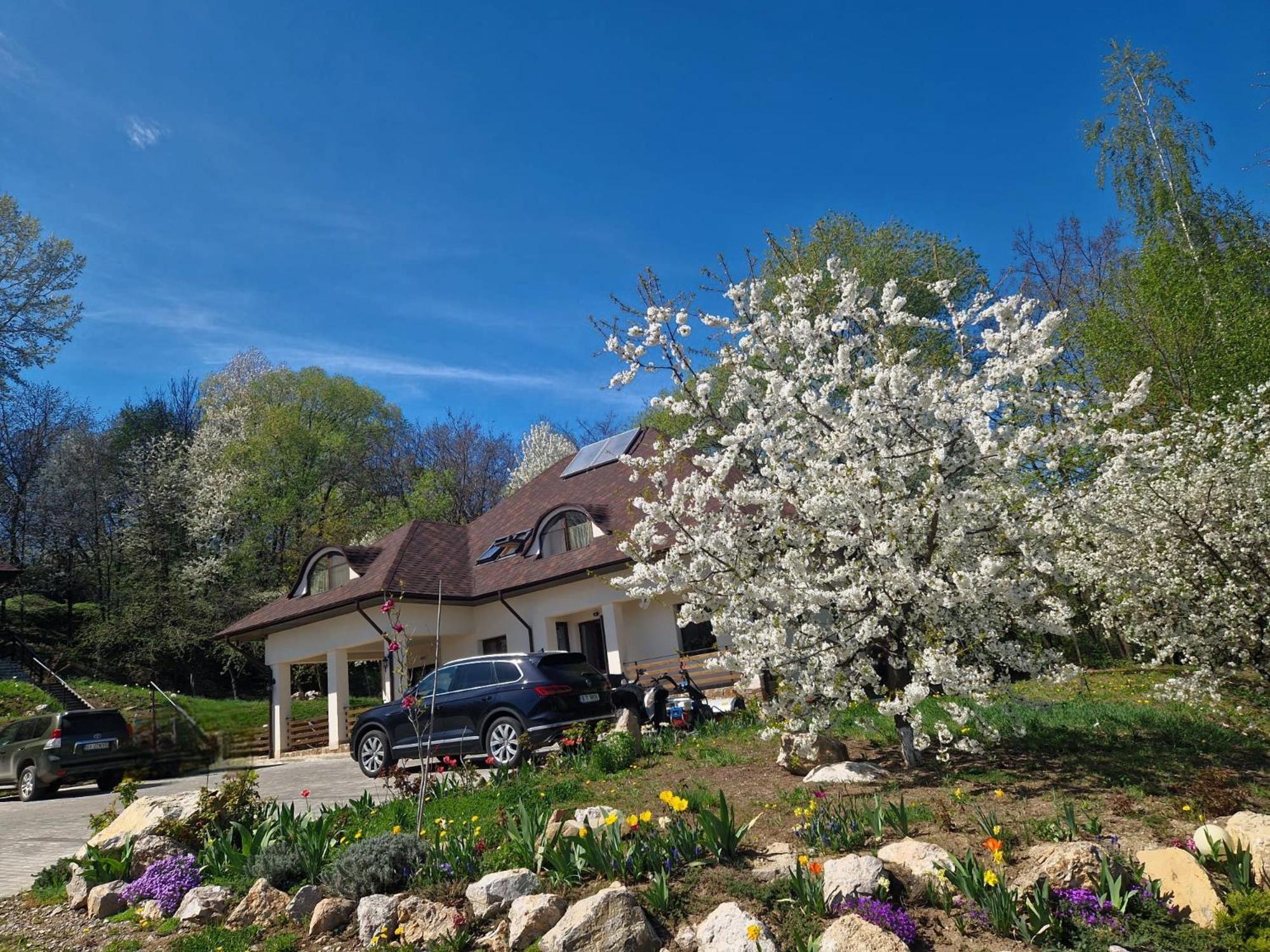 Provence Suceava Hotel Ngoại thất bức ảnh